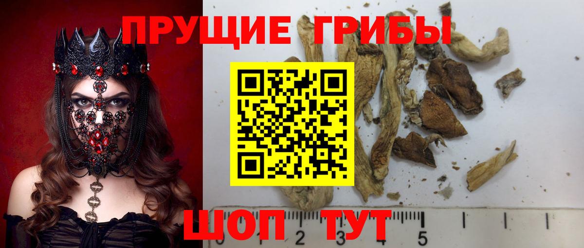 Похвистнево  Псилоцибиновые грибы Psilocybe  Галлюциногенные грибы GOLDEN TEACHER  Вход с VPN 